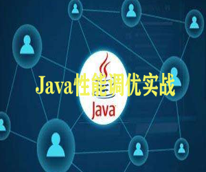 JavaŻʵսƵȫ
