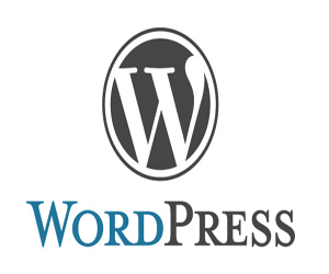 WordPress㿪ʼóվ